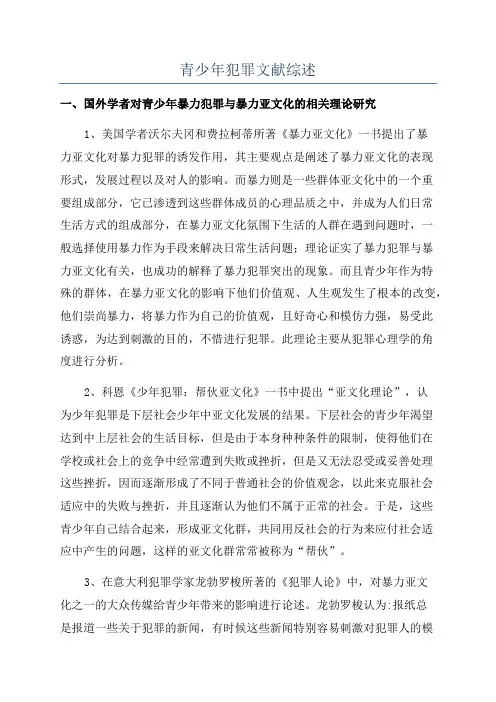 青少年犯罪文献综述