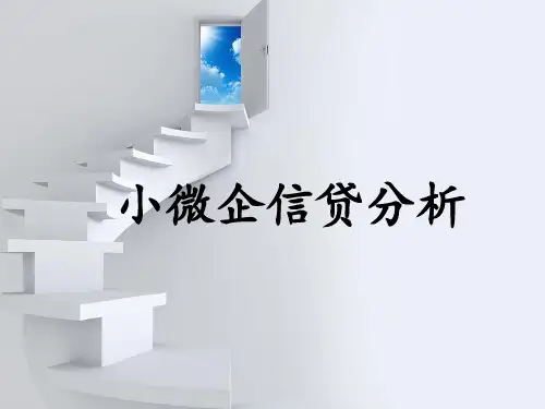 小微企业信贷分析
