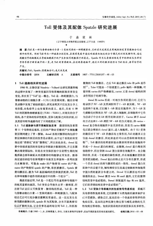 Toll受体及其配体Spatzle研究进展