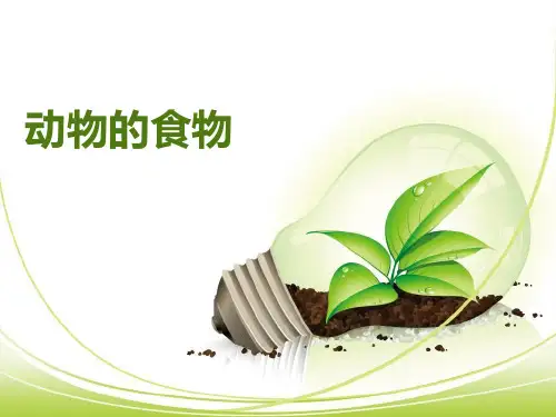 食物的摄取、消化和吸收
