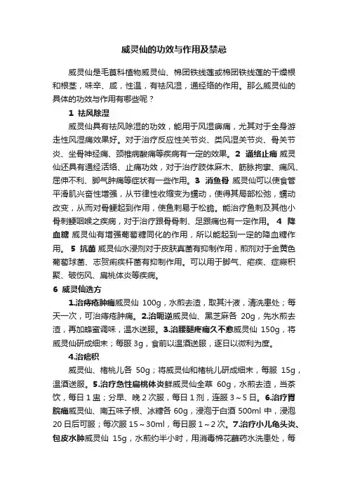 威灵仙的功效与作用及禁忌