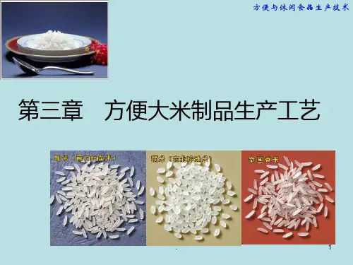 方便大米制品生产工艺PPT课件