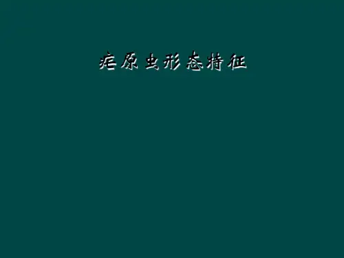 疟原虫形态特征