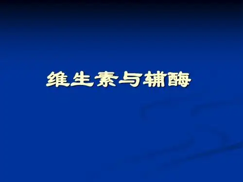 维生素与辅酶