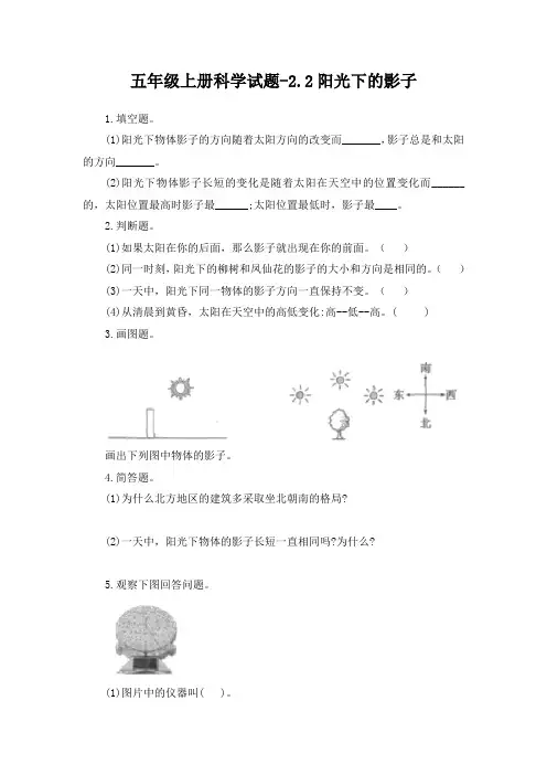 五年级上册科学试题-2、2阳光下的影子 教科版 含答案