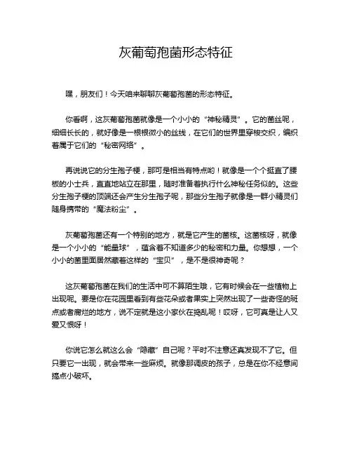 灰葡萄孢菌形态特征