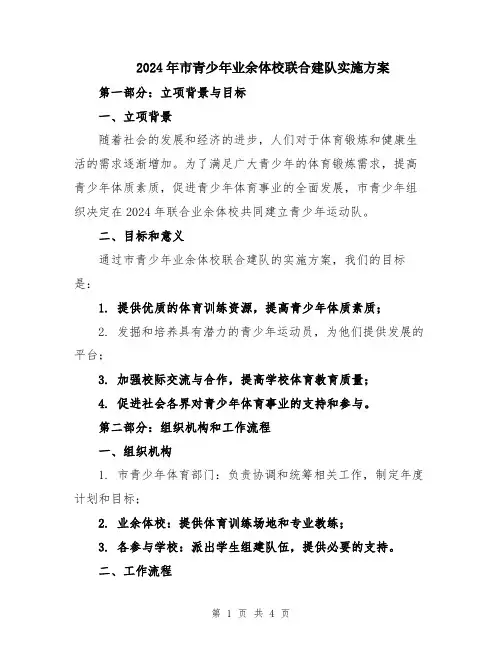 2024年市青少年业余体校联合建队实施方案