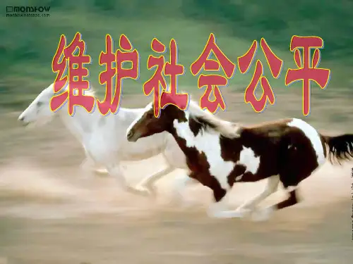 维护社会公平课件PPT