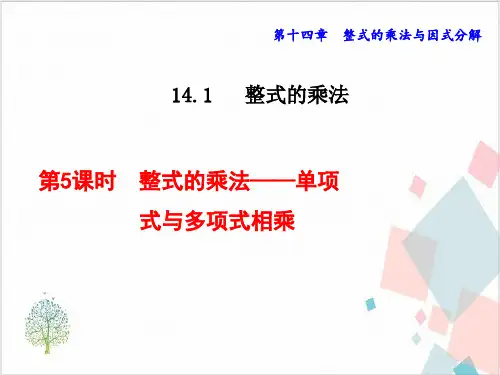 《整式的乘法》_精美课件