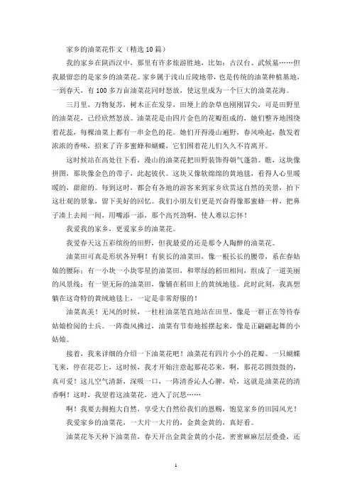 家乡的油菜花作文(精选10篇最新)