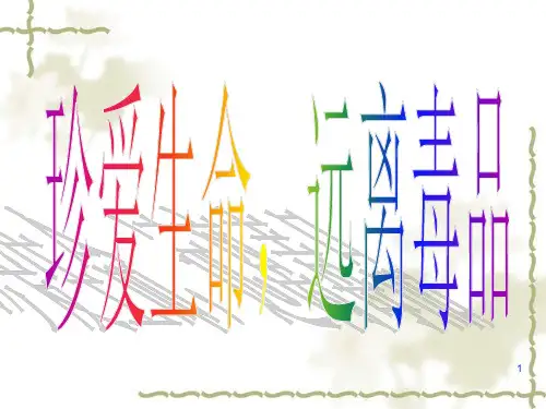禁毒专题安全教育ppt课件
