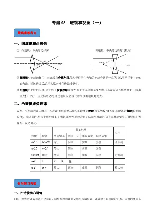 专题08透镜和视觉(一)