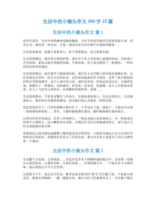 生活中的小镜头作文500字25篇