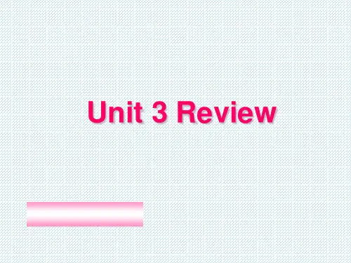1.8Unit3AmazingAnimals课件(冀教版八年级下册)