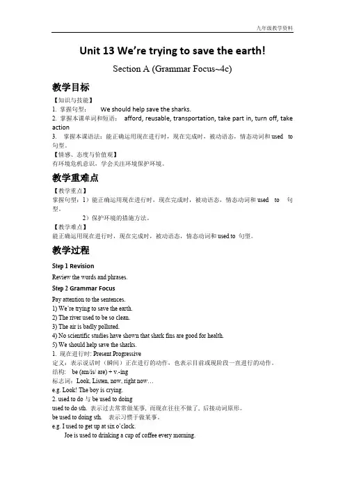 人教版九年级英语Unit 13 Section A (Grammar Focus~4c)
