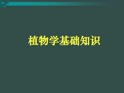 3软质景观设计-植物学基础知识(新)   中国美院植物配置教学课件
