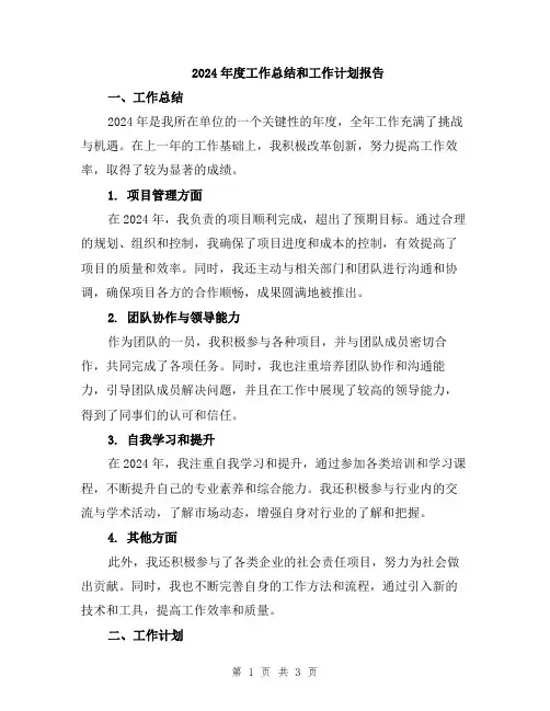 2024年度工作总结和工作计划报告