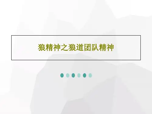狼精神之狼道团队精神PPT70页