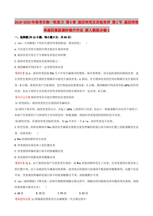 人教版高中生物必修2第5章 基因突变及其他变异第2节 染色体变异课件(4)