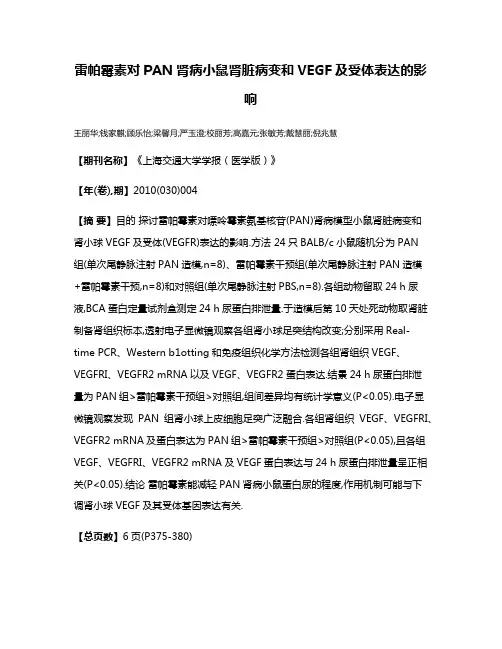 雷帕霉素对PAN肾病小鼠肾脏病变和VEGF及受体表达的影响