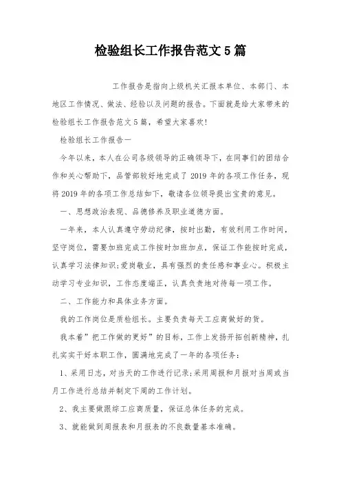 检验组长工作报告范文5篇