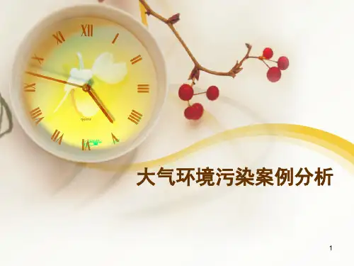 大气污染案例分析(课堂PPT)