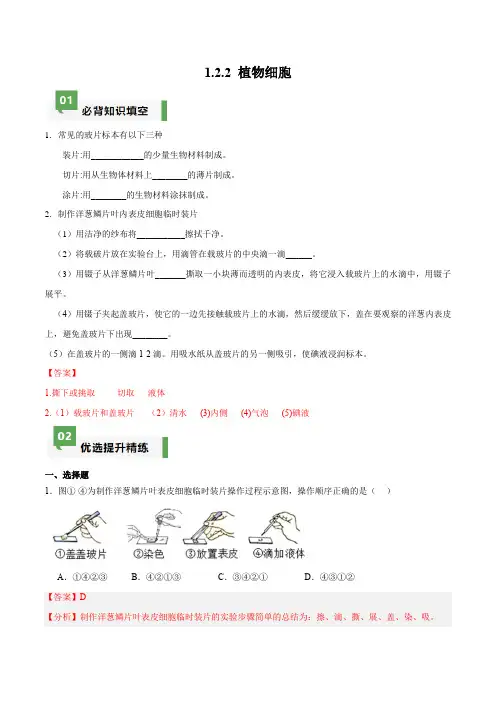 1.2.2 植物细胞(分层作业)七年级生物上册同(人教版2024)