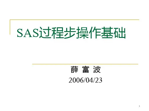 SAS过程步操作基础PPT课件
