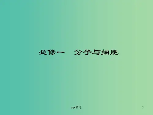高考生物 4-2细胞的分化、衰老和凋亡、癌变课件 新人教版必修1