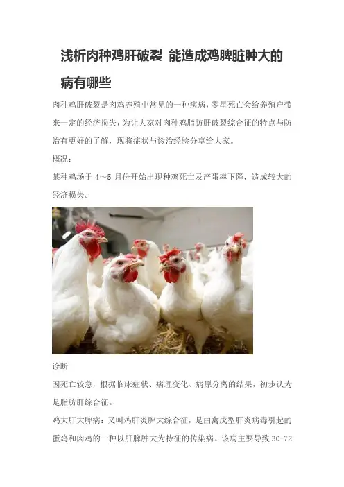 浅析肉种鸡肝破裂 能造成鸡脾脏肿大的病有哪些