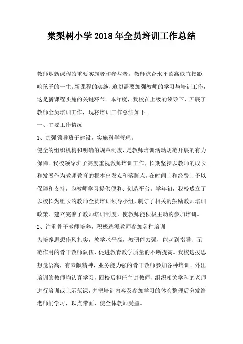 棠梨树小学2018年全员培训工作总结
