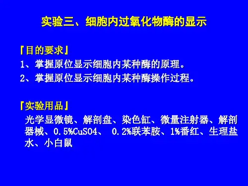 实验三、细胞内过氧化物酶的显示『目的要求』1、掌握原位