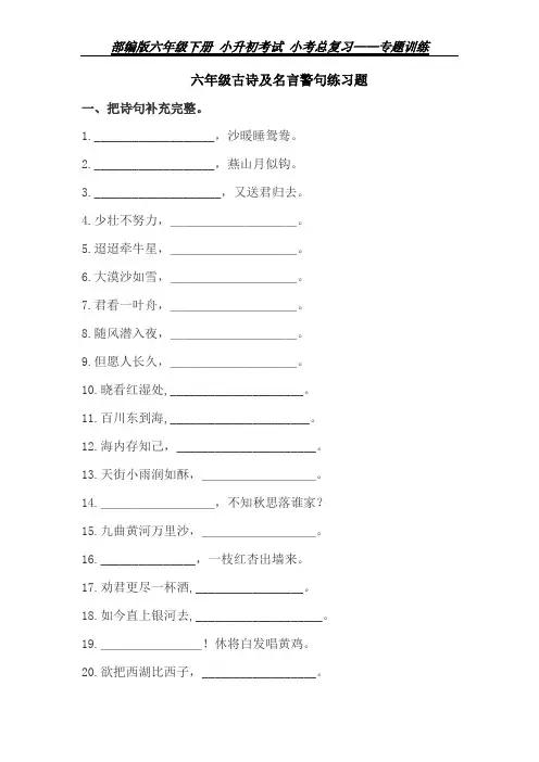 部编版六年级下册 小升初考试 小考总复习 专题训练——古诗及名言警句练习题
