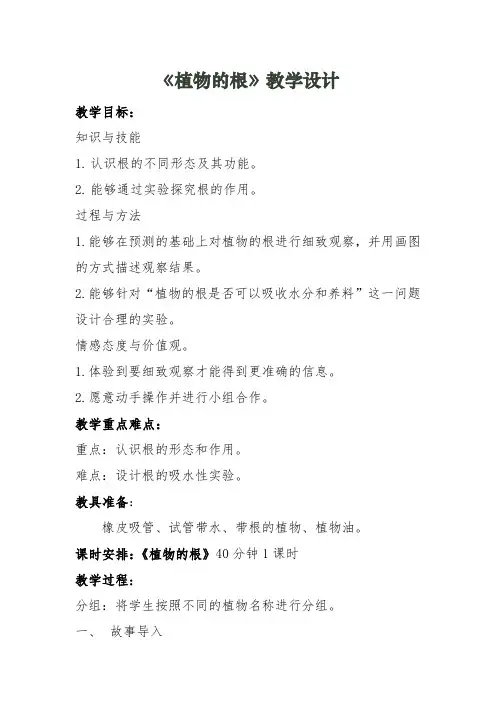 《植物的根》教案