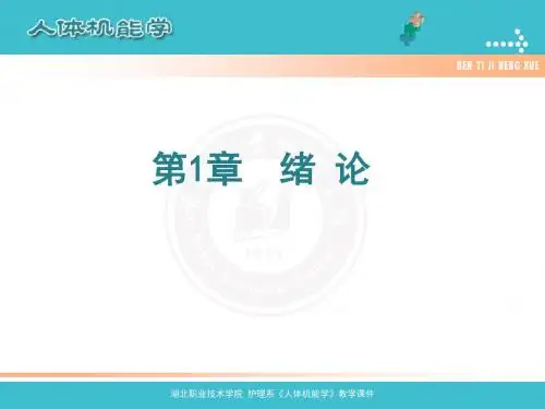 人体机能绪论
