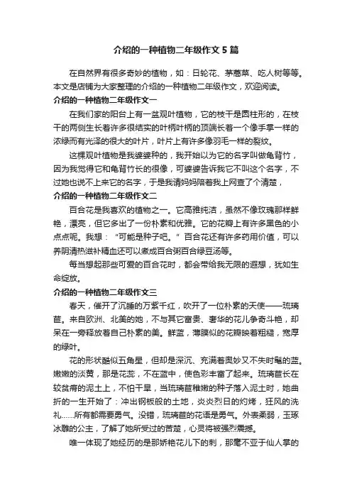 介绍的一种植物二年级作文5篇