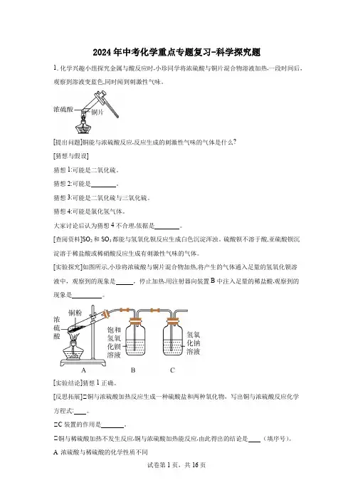 2024年中考化学重点专题复习----科学探究题