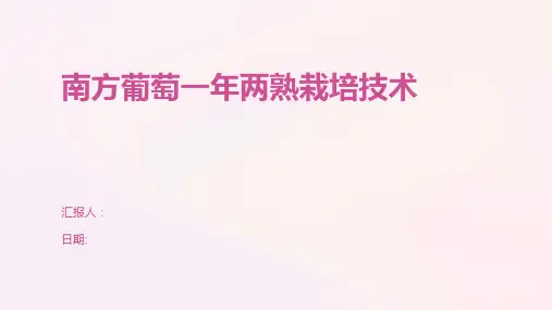 南方葡萄一年两熟栽培技术