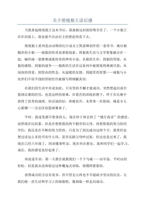 关于绝境狼王读后感
