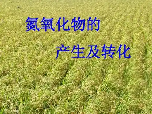 氮氧化物的产生及转化