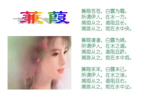 《诗经》三首ppt