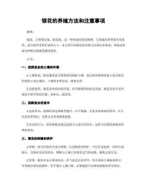 银花的养殖方法和注意事项