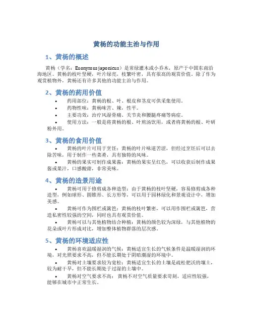 黄杨的功能主治与作用