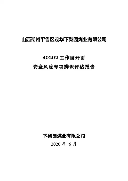 4、40202开面专项辨识评估报告--新