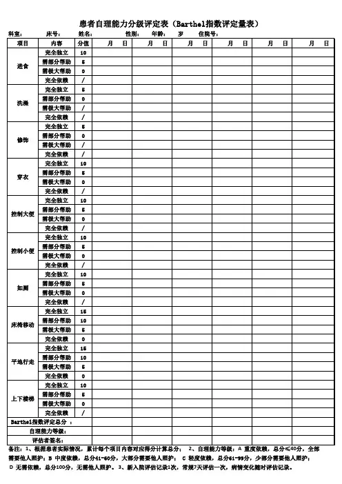 自理能力分级新