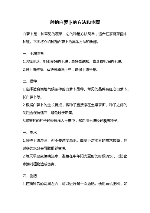 种植白萝卜的方法和步骤