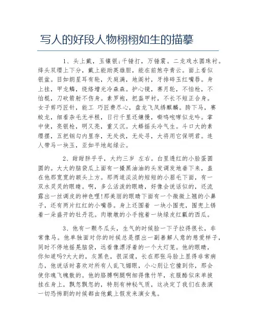 写人的好段人物栩栩如生的描摹