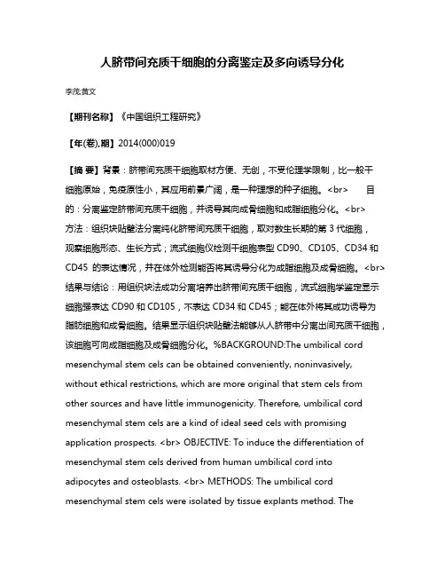 人脐带间充质干细胞的分离鉴定及多向诱导分化