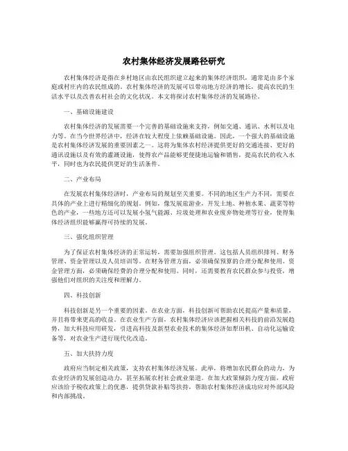 农村集体经济发展路径研究