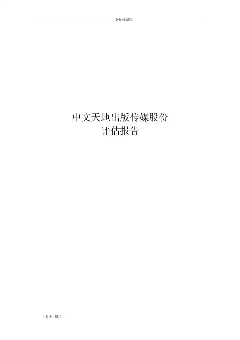 中文传媒评估方案报告